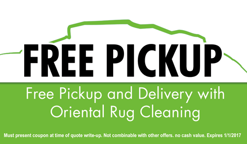 Save on Oriental Rug Cleaning